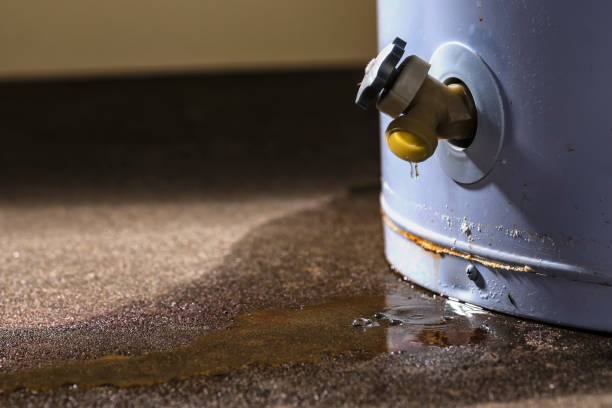 Best 24/7 water damage repair  in North Edwards, CA