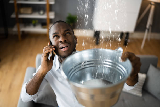 Best Carpet water damage restoration  in North Edwards, CA