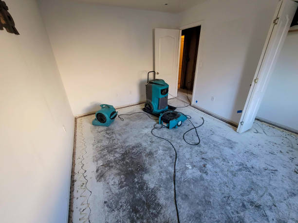 Best Professional water damage repair  in North Edwards, CA