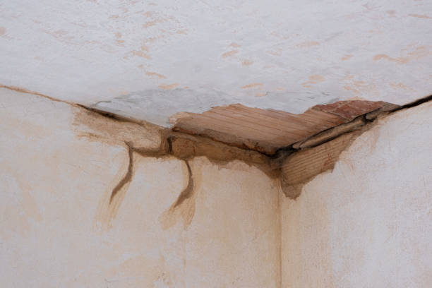 Best Mold removal after water damage  in North Edwards, CA