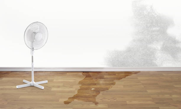 Best Professional water damage repair  in North Edwards, CA