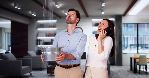 Best Flooded house restoration  in North Edwards, CA
