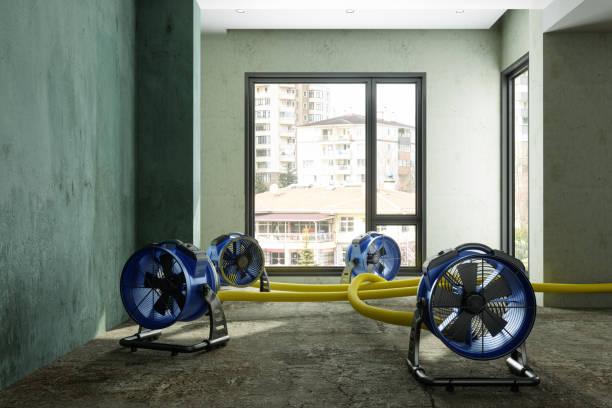 Best Basement water damage restoration  in North Edwards, CA
